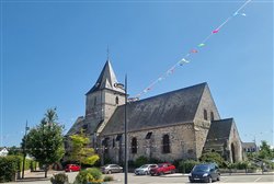 breaute (11)